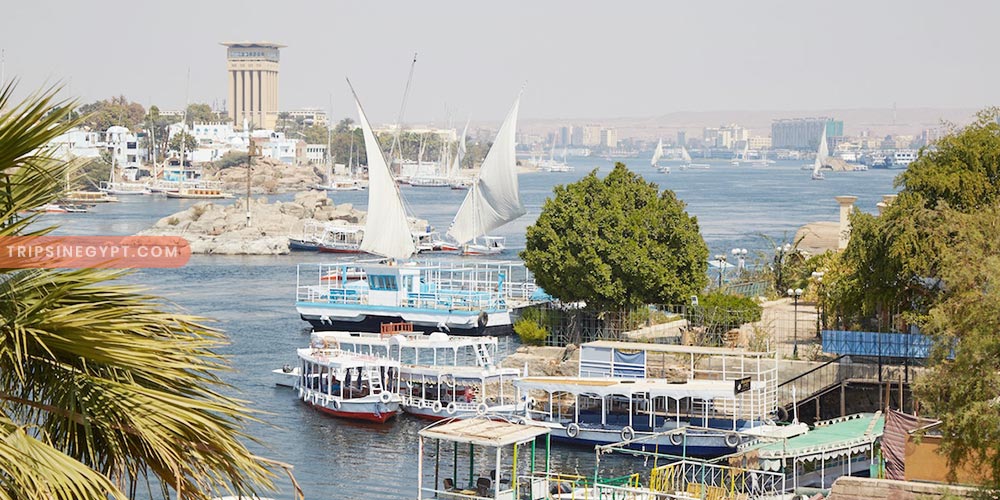 Elephantine Island Gallery (1) - Trips in Egypt