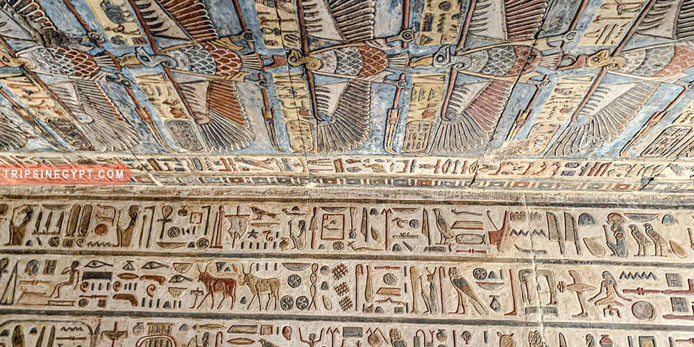 Esna Temple Gallery (5) - Trips in Egypt