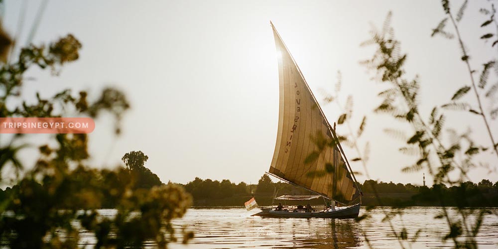 Felucca Cairo (1) - Trips in Egypt