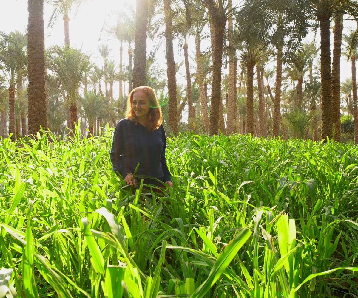 Full-Day Tour in the Egyptian Countryside