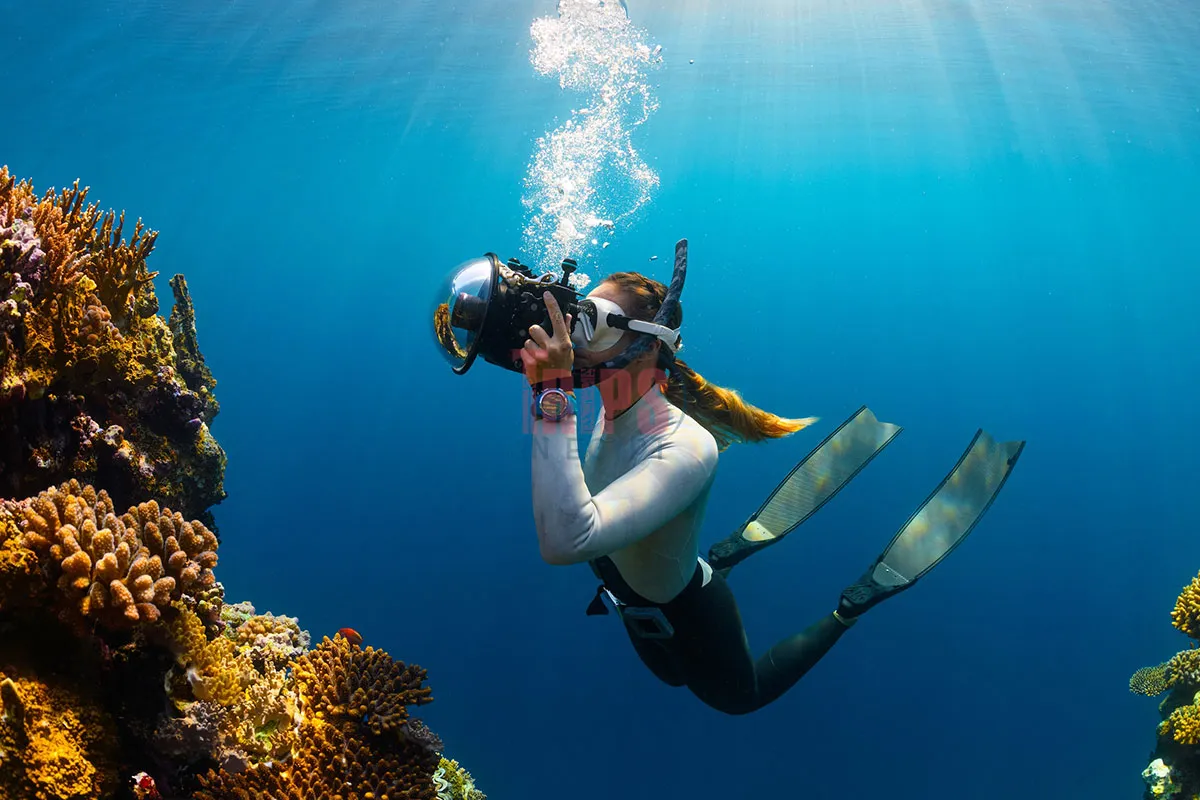 Hurghada Marine Life - Why Hurghada Captivates Travelers - Trips in Egypt