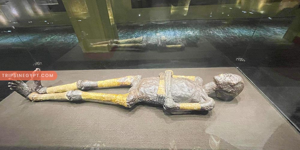 King Tut Museum Sharm El Sheikh Gallery - Trips in Egypt (3)