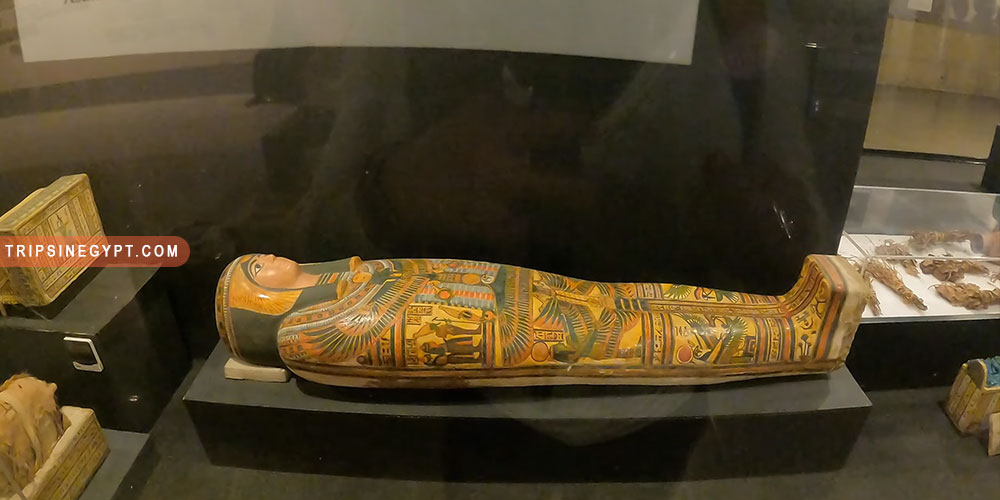 Luxor Museum Gallery (16) - Trips in Egypt