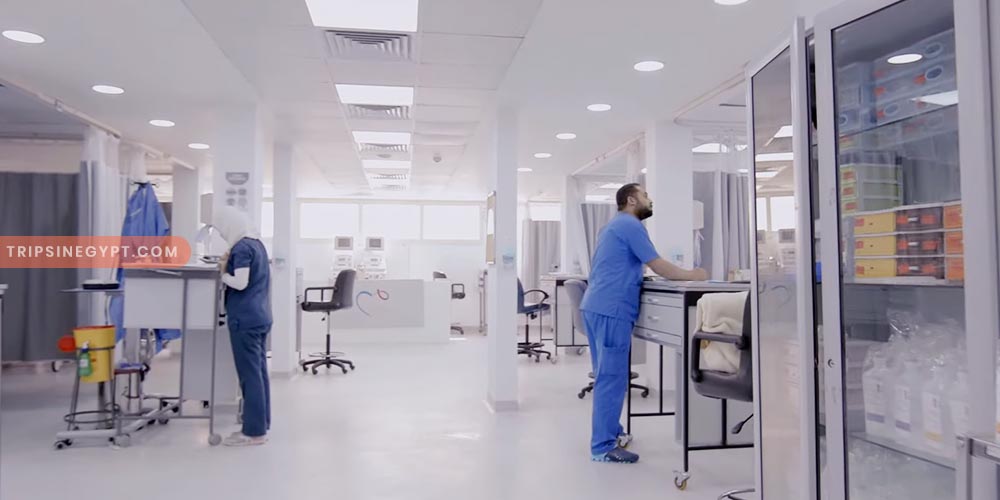 Magdi Yacoub Center Gallery (2) - Trips in Egypt