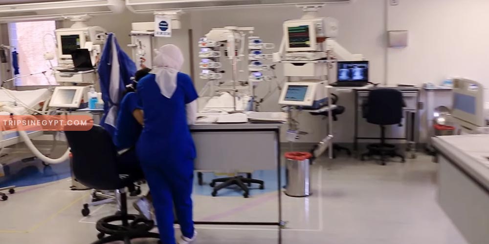 Magdi Yacoub Center Gallery (3) - Trips in Egypt