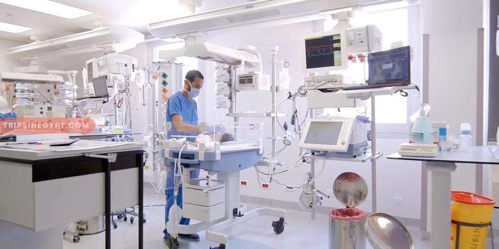 Magdi Yacoub Center Gallery (6) - Trips in Egypt