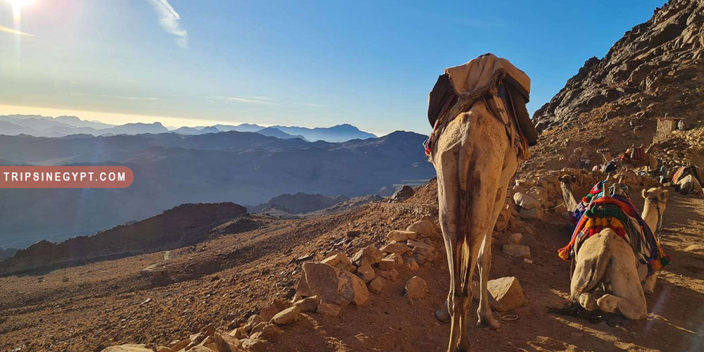 Mount Sinai Gallery (5) - Trips in Egypt