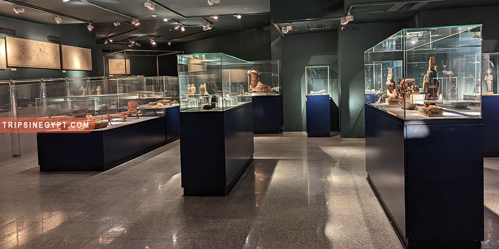 Mummification Museum Gallery (1) - Trips in Egypt