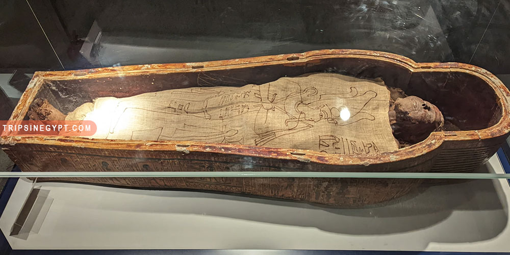 Mummification Museum Gallery (3) - Trips in Egypt