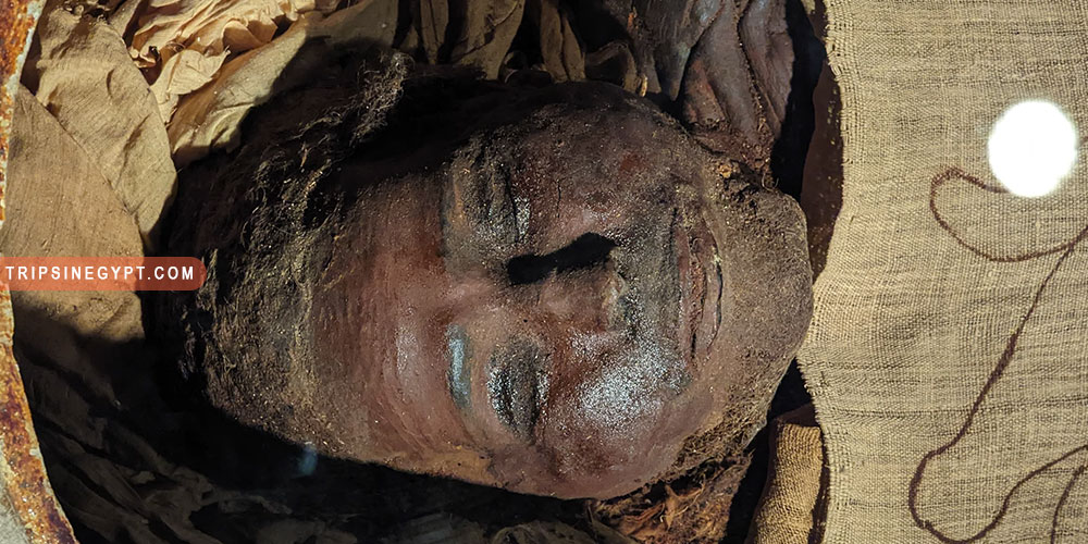 Mummification Museum Gallery (4) - Trips in Egypt