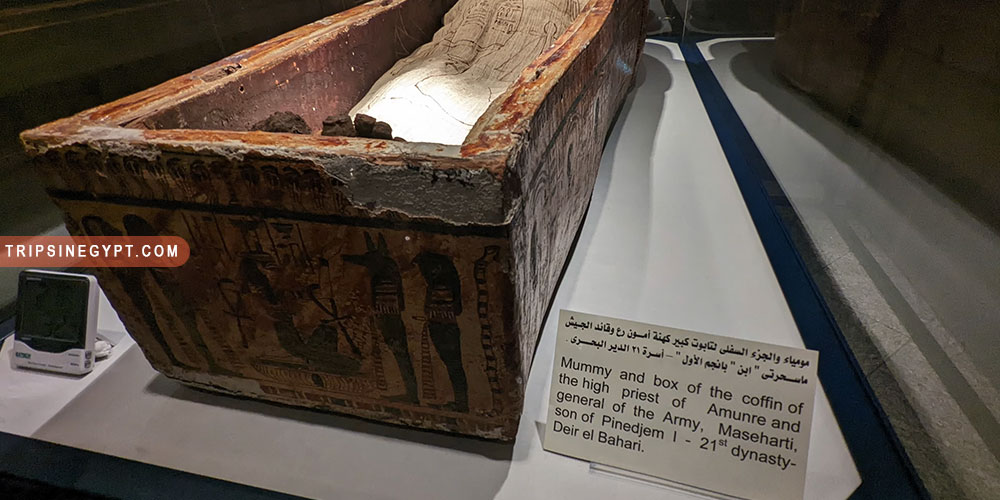 Mummification Museum Gallery (5) - Trips in Egypt