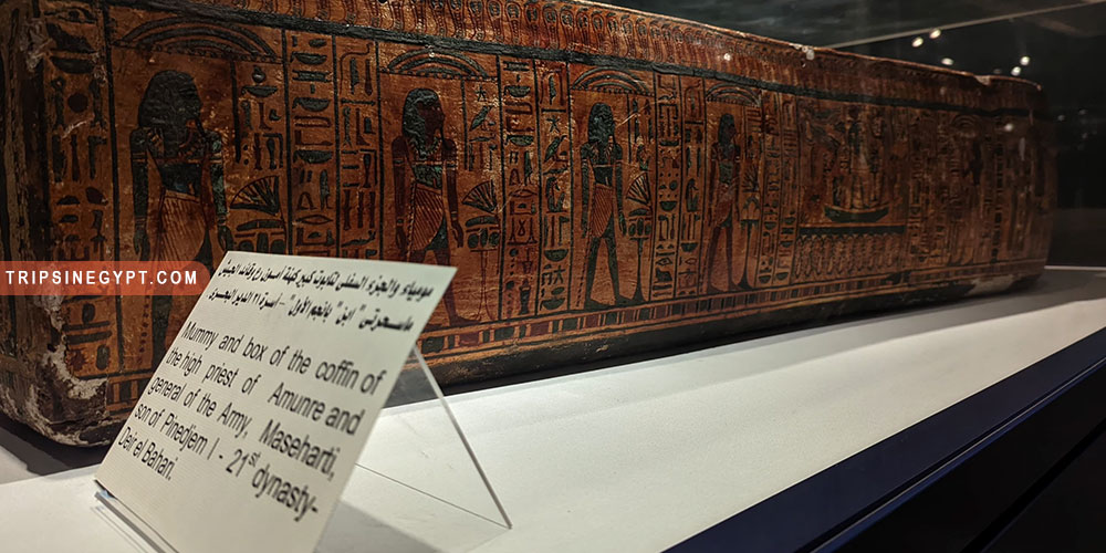 Mummification Museum Gallery (6) - Trips in Egypt