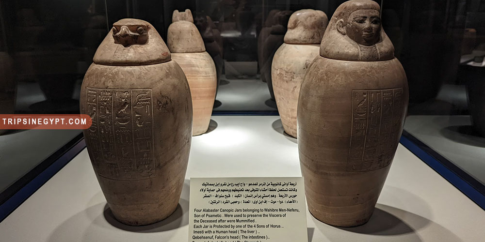 Mummification Museum Gallery (7) - Trips in Egypt
