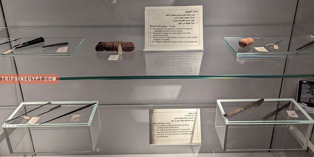 Mummification Museum Gallery (8) - Trips in Egypt