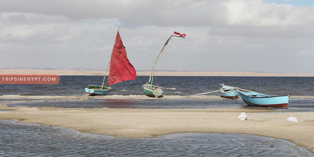 Qarun Lake - Trips in Egypt