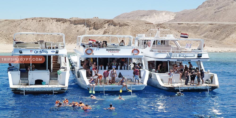 Ras Mohammed National Park Gallery (1) - Trips in Egypt