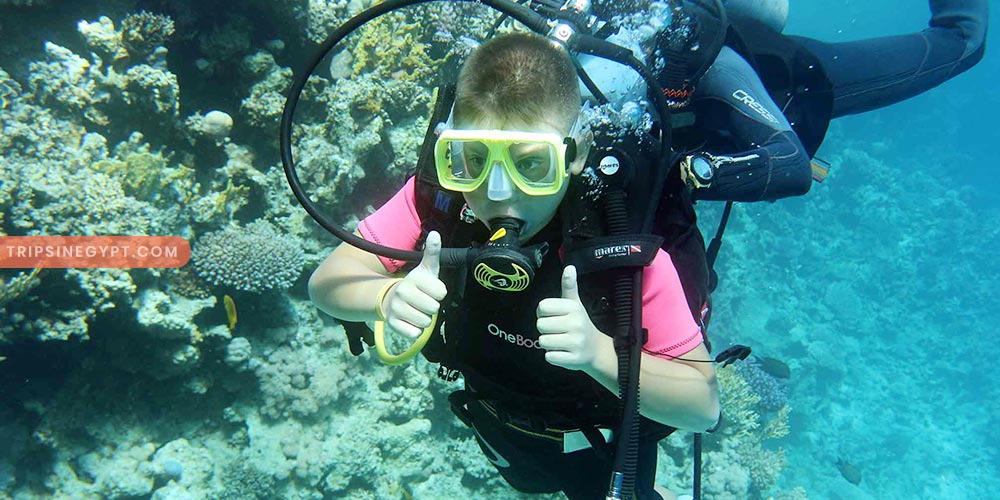 Ras Mohammed National Park Gallery (5) - Trips in Egypt