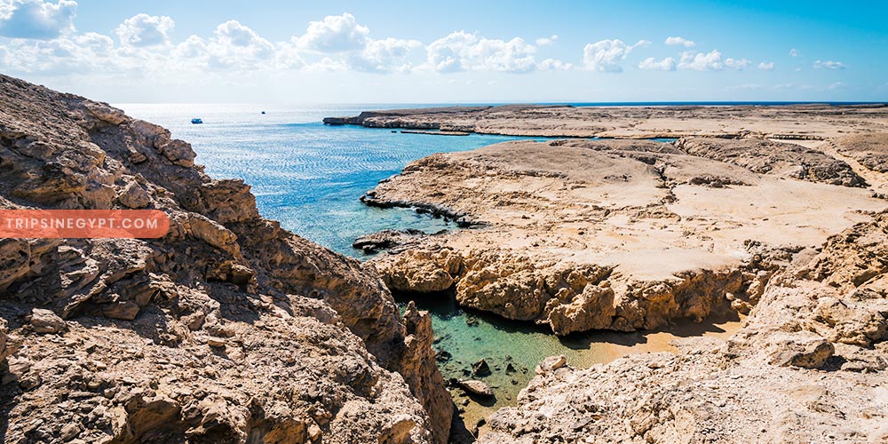 Ras Mohammed National Park Gallery (7) - Trips in Egypt