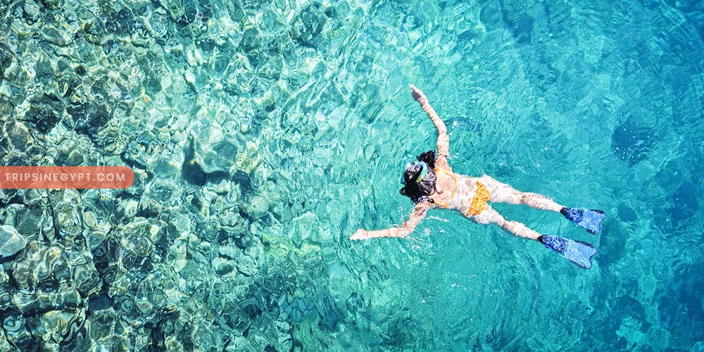 Ras Mohammed National Park Gallery (8) - Trips in Egypt