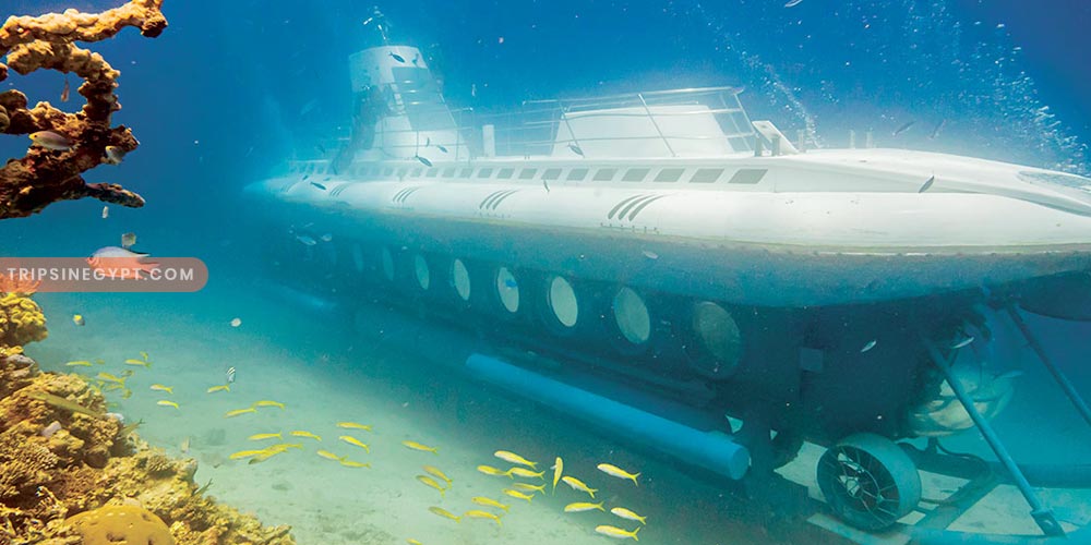 Sindbad Submarine Gallery (5) - Trips in Egypt