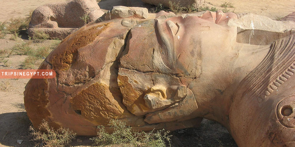 Tanis City Gallery (2) - Trips in Egypt