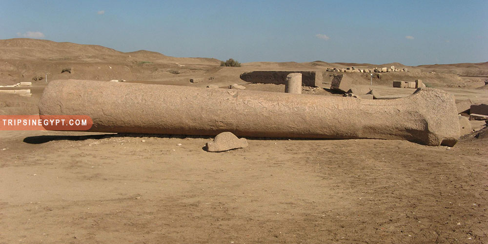 Tanis City Gallery (3) - Trips in Egypt