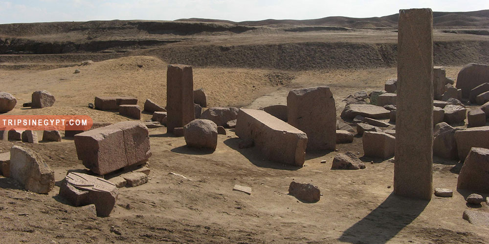 Tanis City Gallery (7) - Trips in Egypt