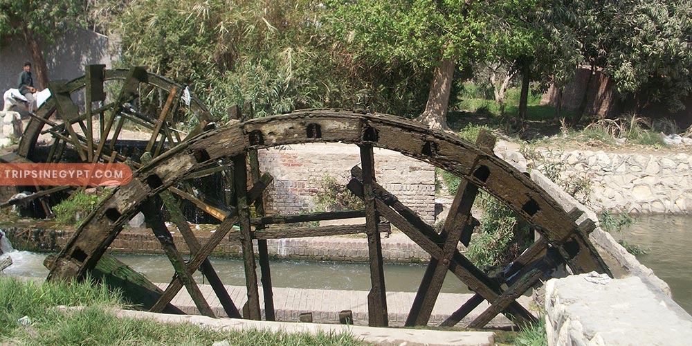 The Egyptian Countryside Gallery (5) - Trips in Egypt