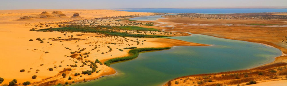 The Magic Land Attractions - Trips in Egypt