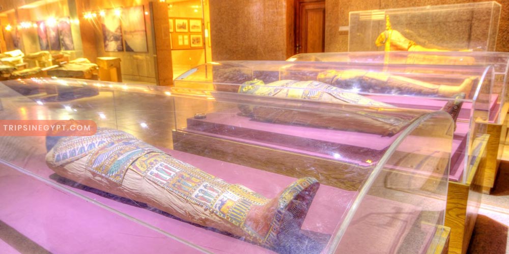 The Nubian Museum Gallery (3) - Trips in Egypt