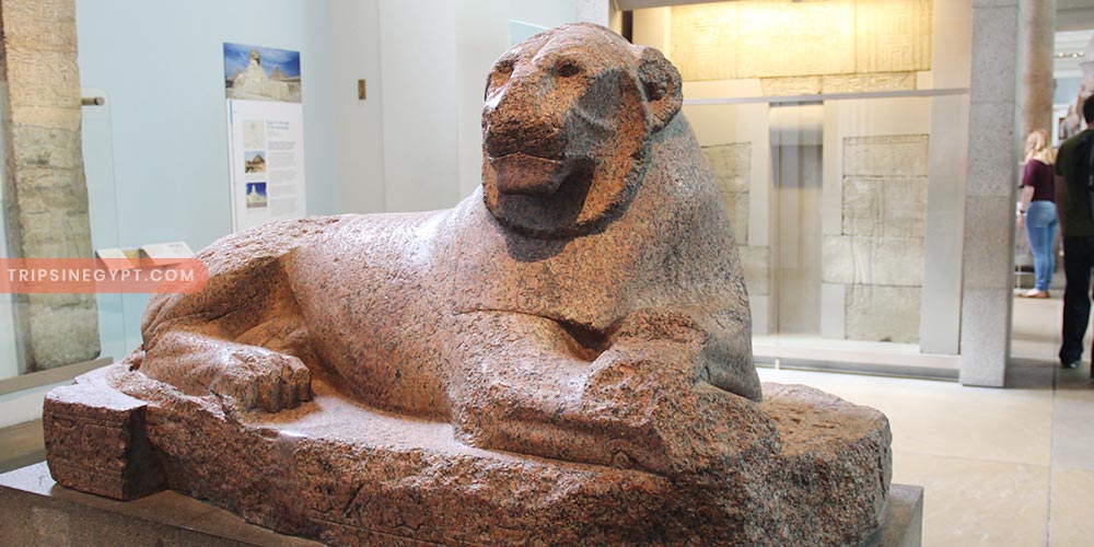 The Nubian Museum Gallery (6) - Trips in Egypt