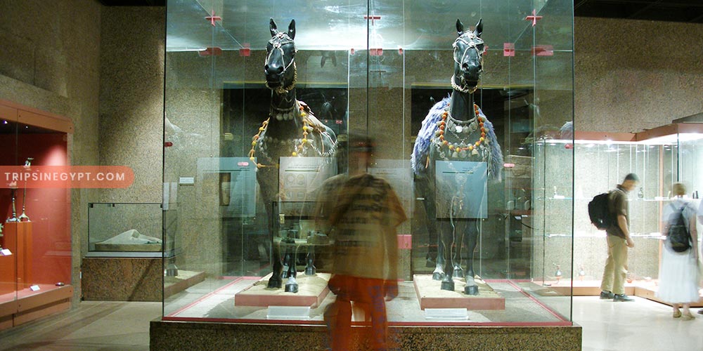 The Nubian Museum Gallery (7) - Trips in Egypt