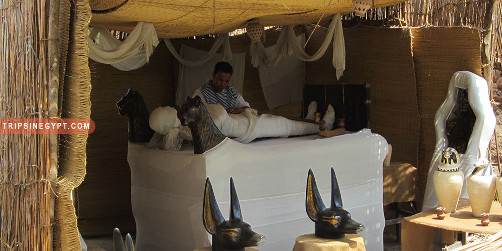 The Pharanoiac Village Gallery (3) - Trips in Egypt