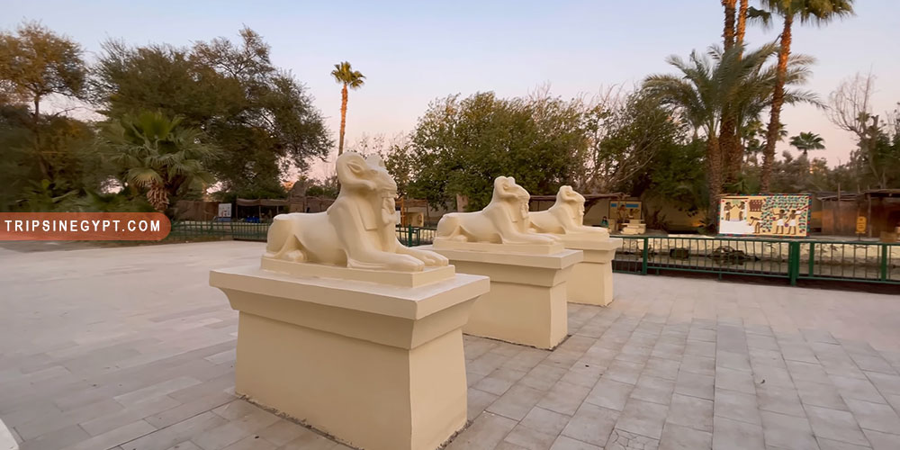 The Pharanoiac Village Gallery (9) - Trips in Egypt