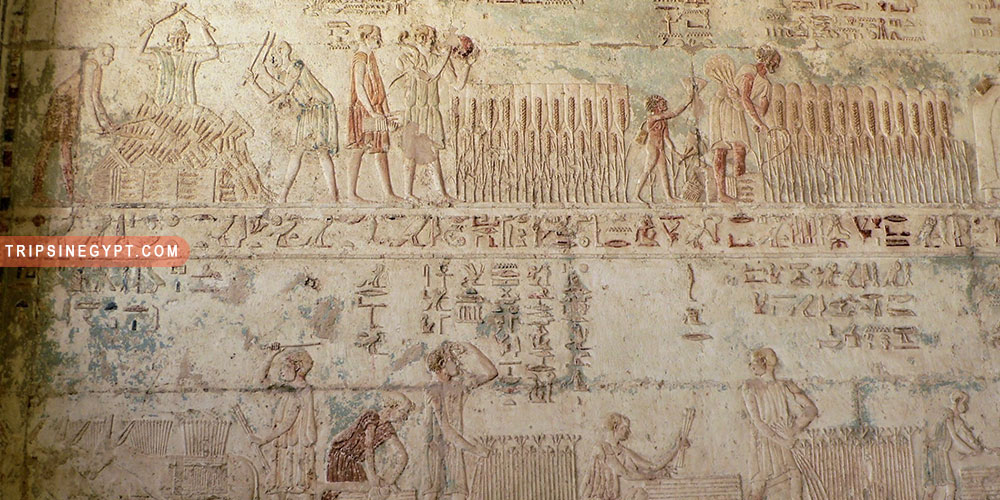 Tuna el Gebel Gallery (4) - Trips in Egypt