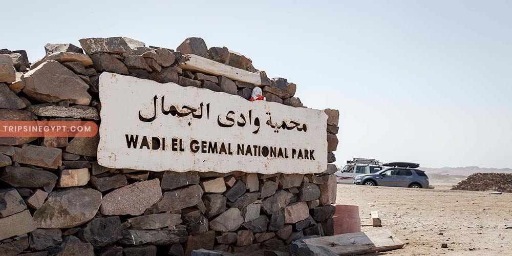 Wadi El Gemal Gallery (1) - Trips in Egypt
