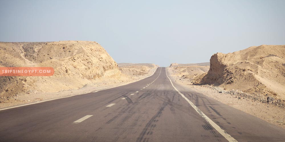 Wadi El Gemal Gallery (2) - Trips in Egypt