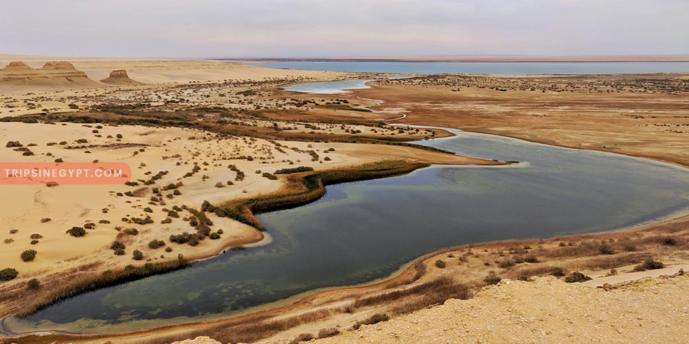 Wadi El Rayan - Trips in Egypt