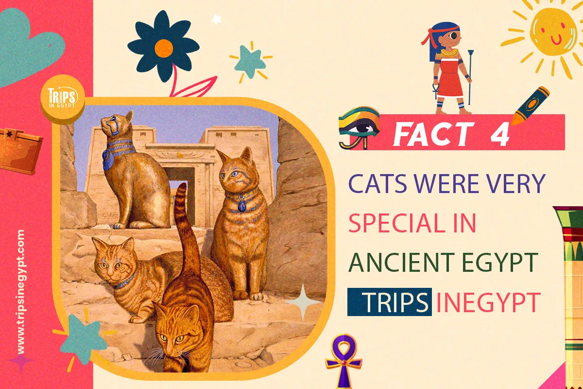 Cats Were Very Special in Ancient Egypt - Trips in Egypt