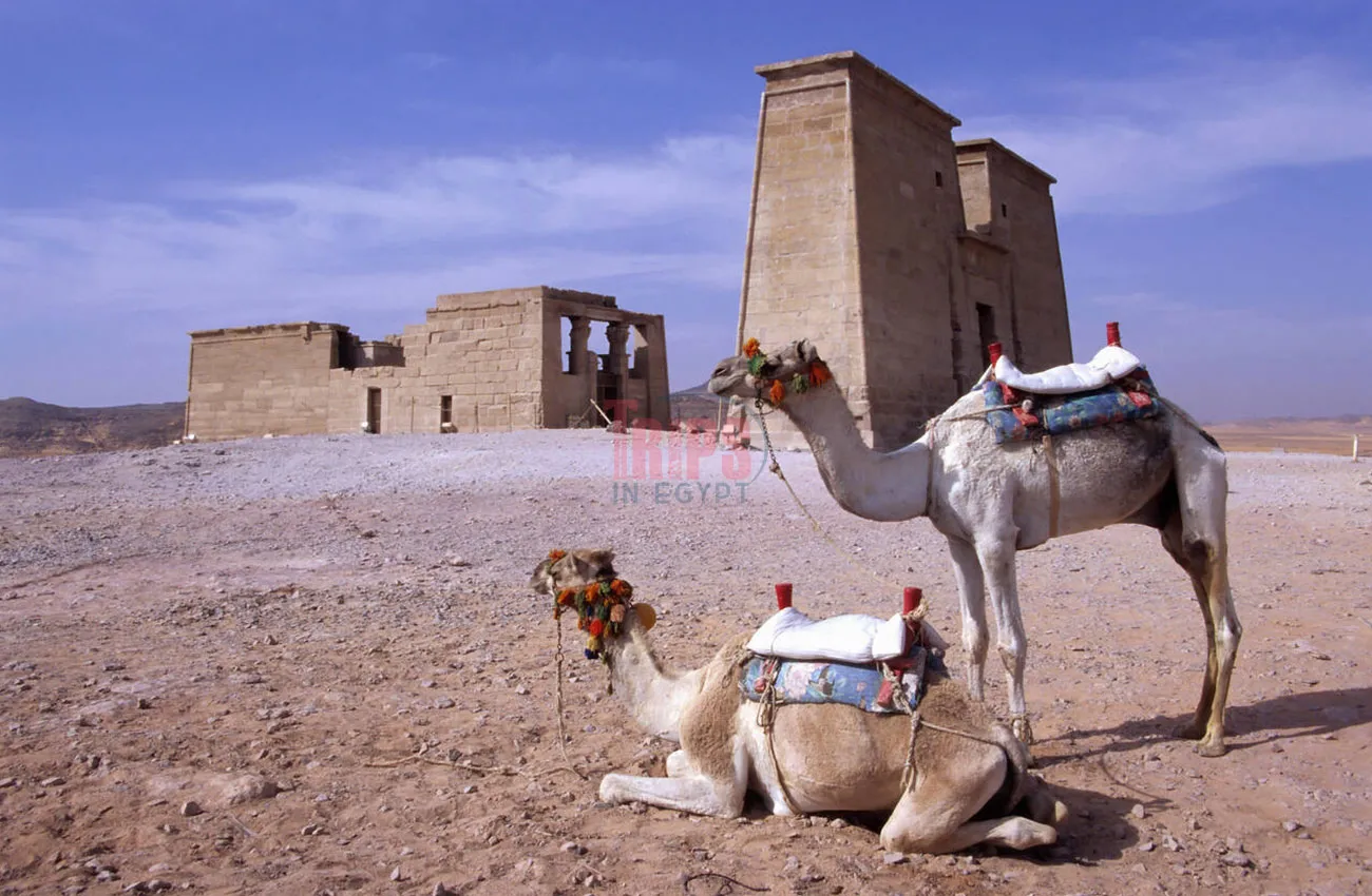 Temple of Dakka - Nubian Culture - Trips in Egypt