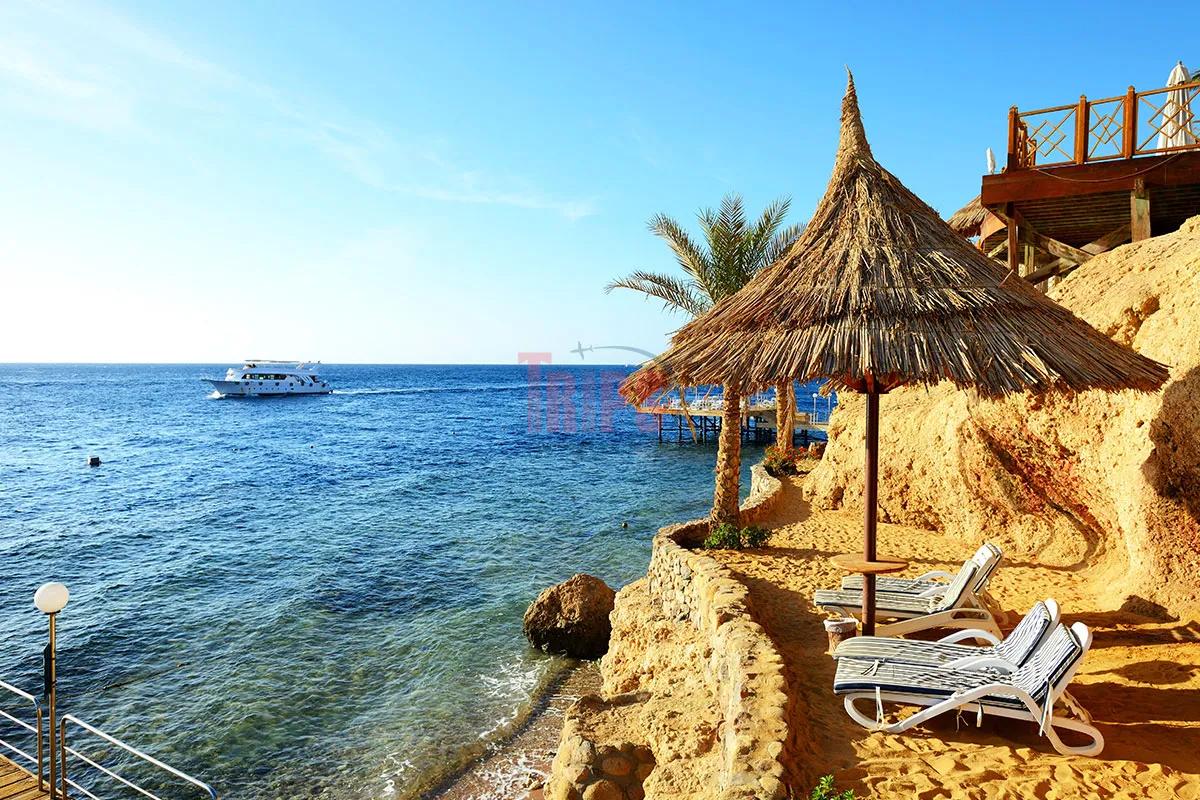 What is the Average Cost For 8 Days in Egypt - Trips in Egypt