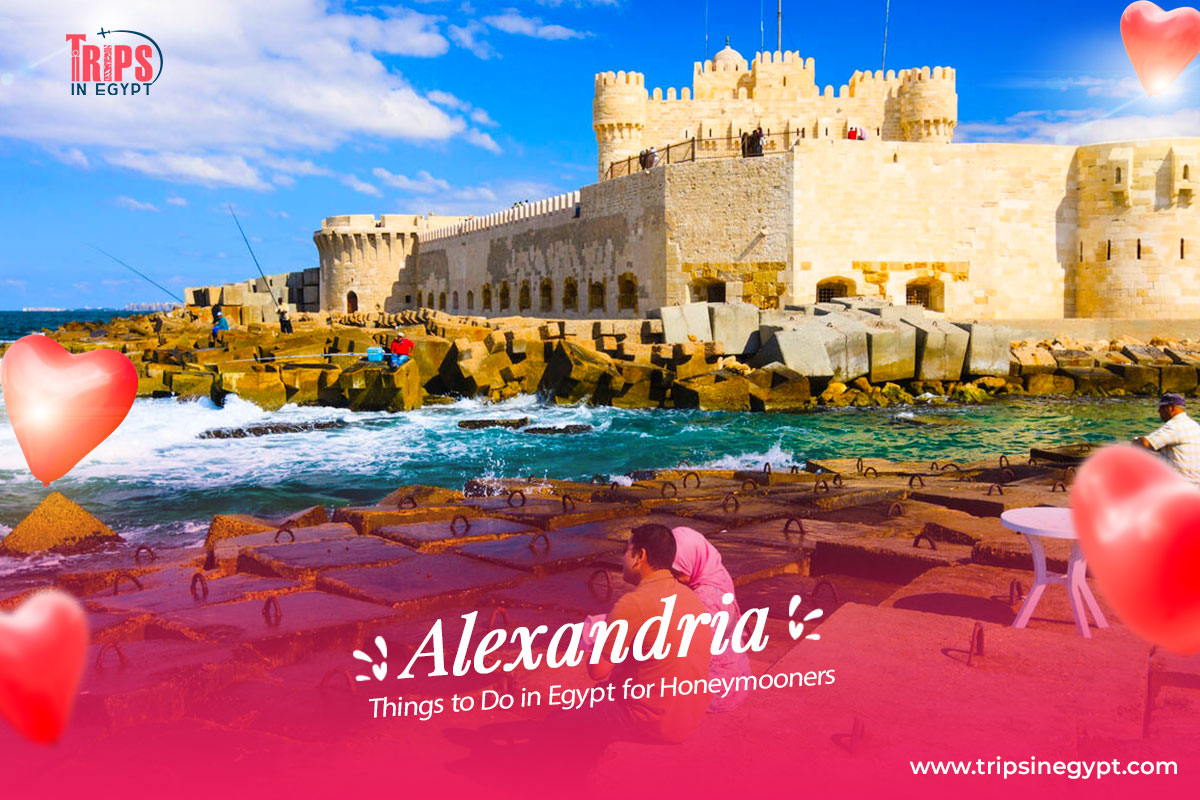 Alexandria City - Things to Do in Egypt for Honeymooners - Trips in Egypt