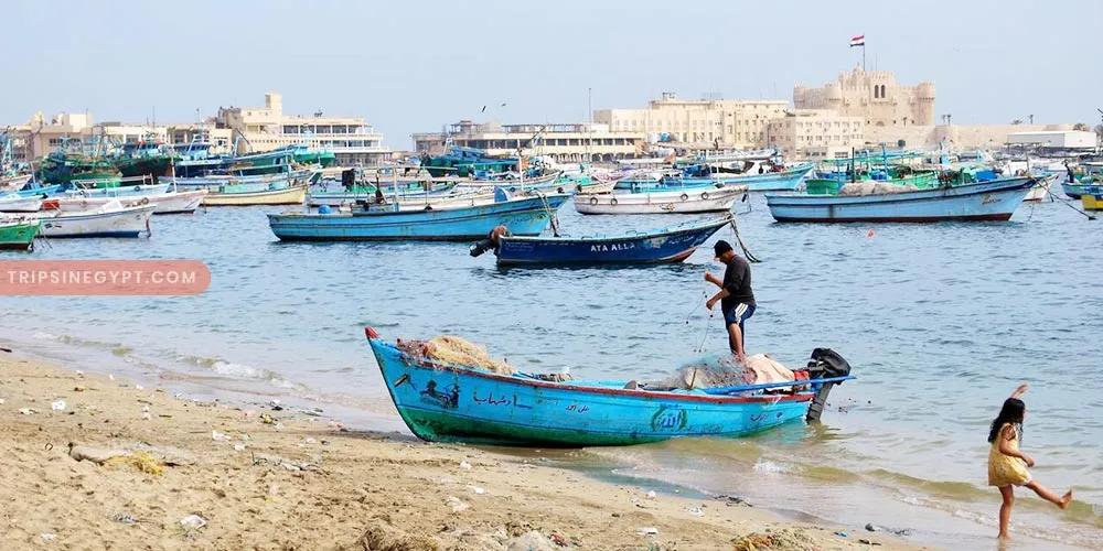 Alexandria - Egypt Weather in January - Trips in Egypt