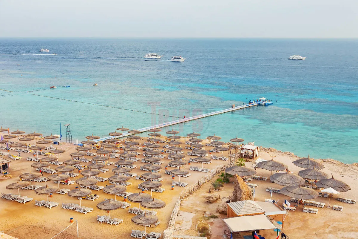 Best Time to Visit the Red Sea - Trips in Egypt