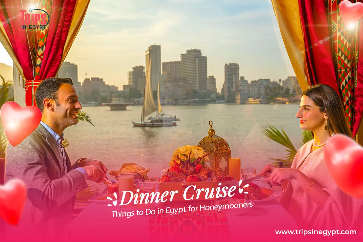 Cairo Dinner Cruise - Things to Do in Egypt for Honeymooners - Trips in Egypt