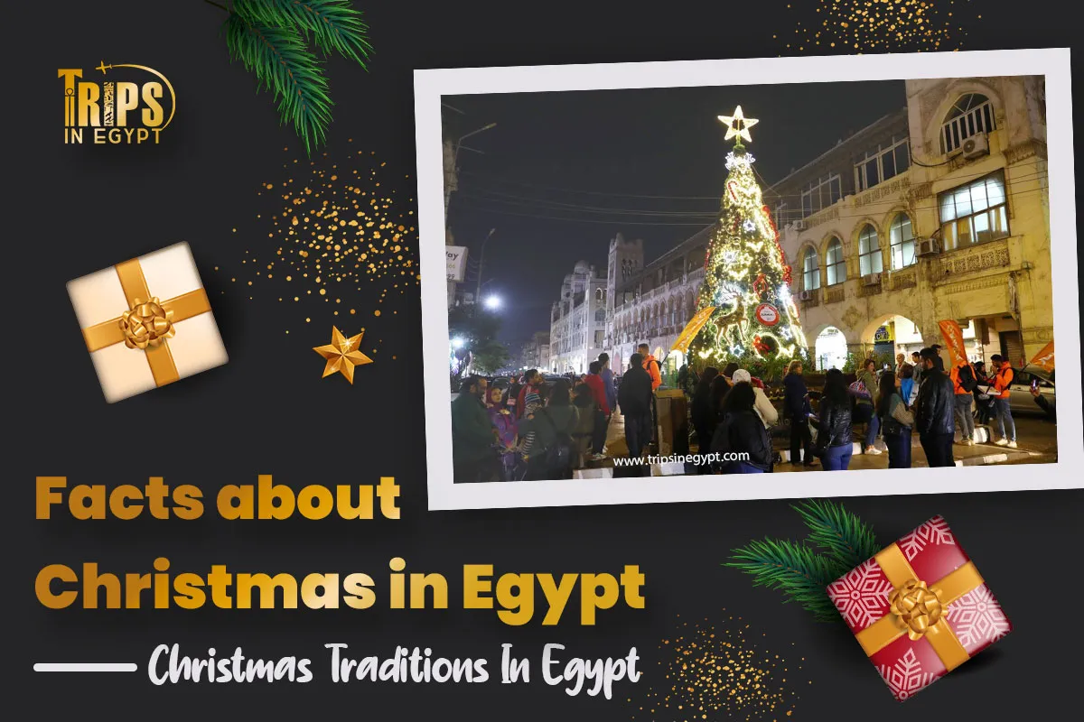 Facts about Christmas in Egypt - Trips in Egypt