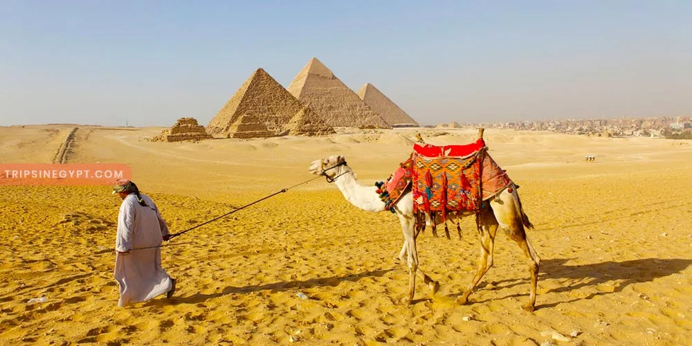 Giza Pyramids Complex - Best Places to Visit in Egypt During the Christmas - Trips in Egypt