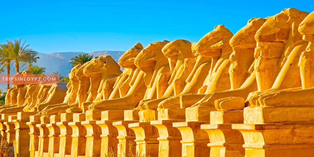 Karnak Temple - Best Places to Visit in Egypt During the Christmas - Trips in Egypt