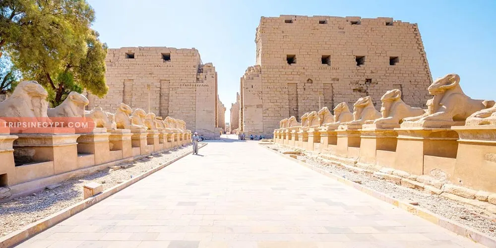 Luxor - Egypt Weather in January - Trips in Egypt