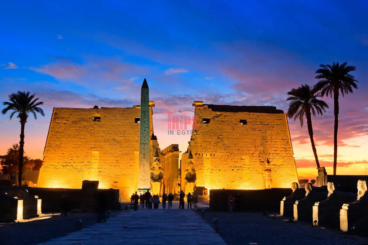 Luxor Temple at Night - Luxor in 48 Hours - Trips in Egypt